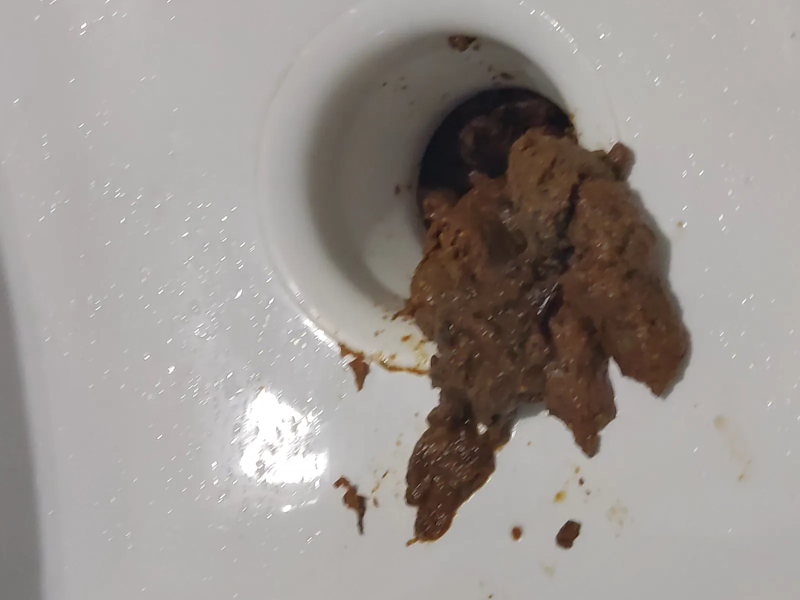 Poossy