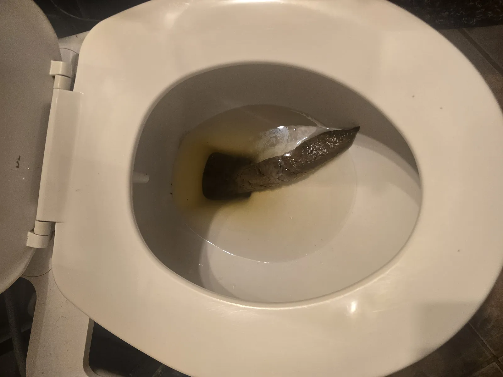 Monster log