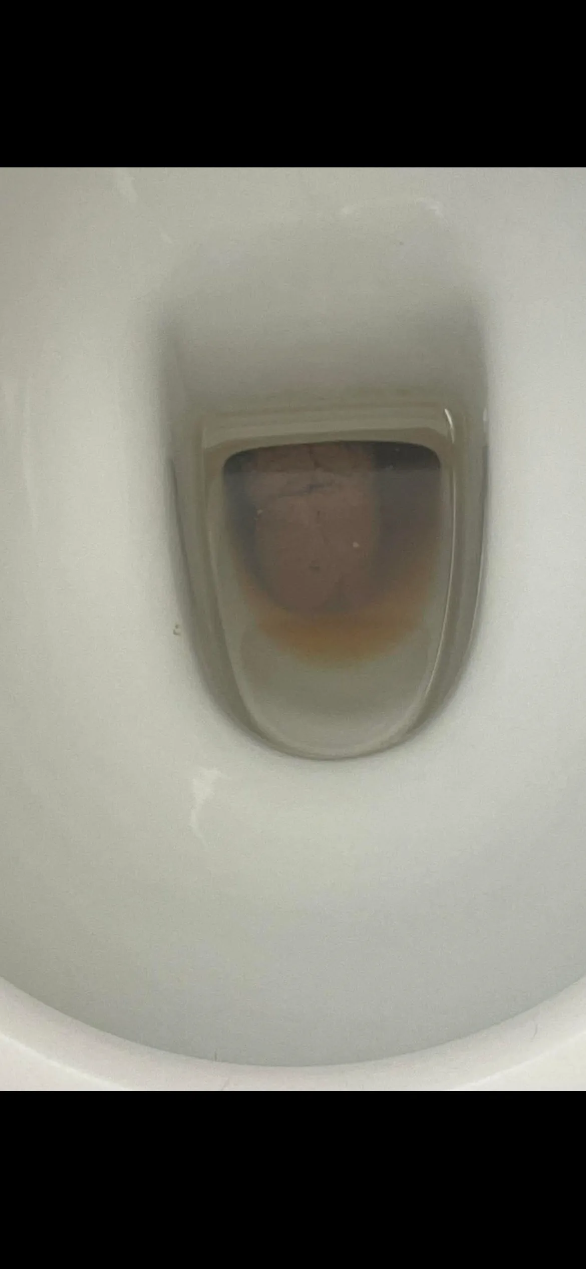 The poop of the poops