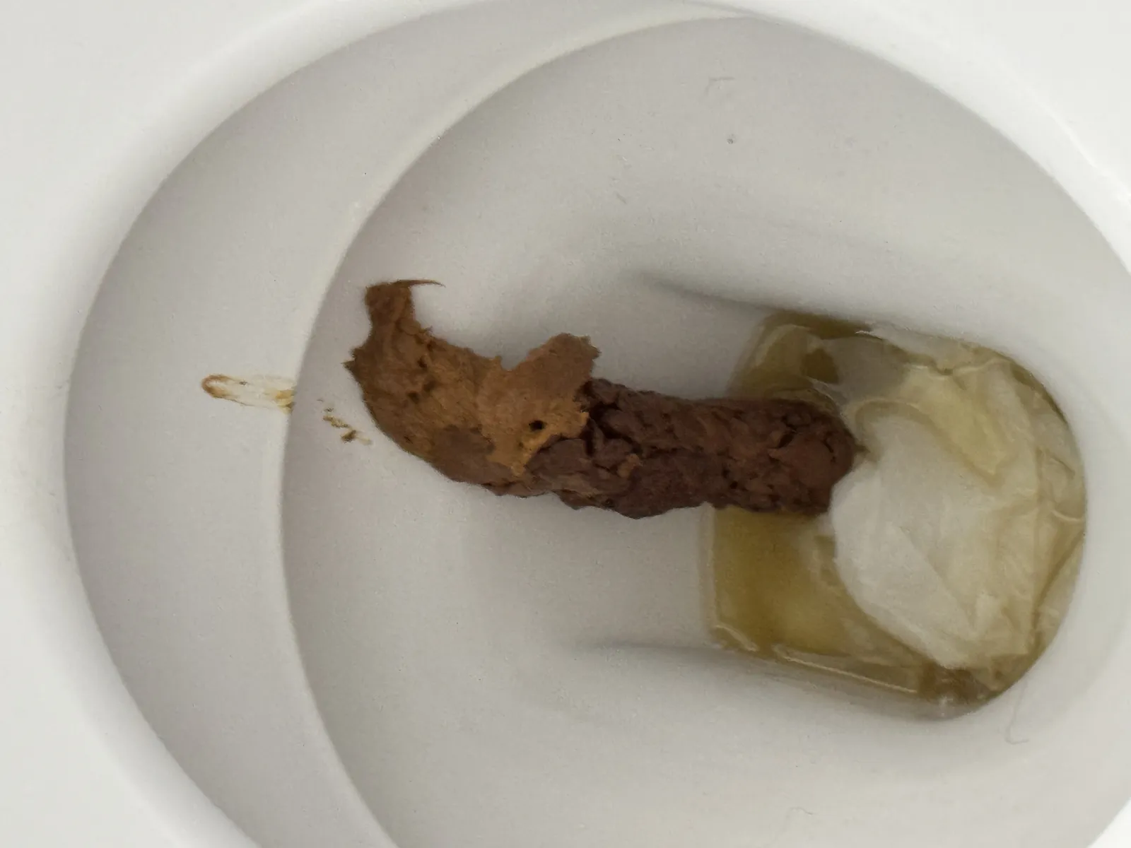 We all live in a brown submarine