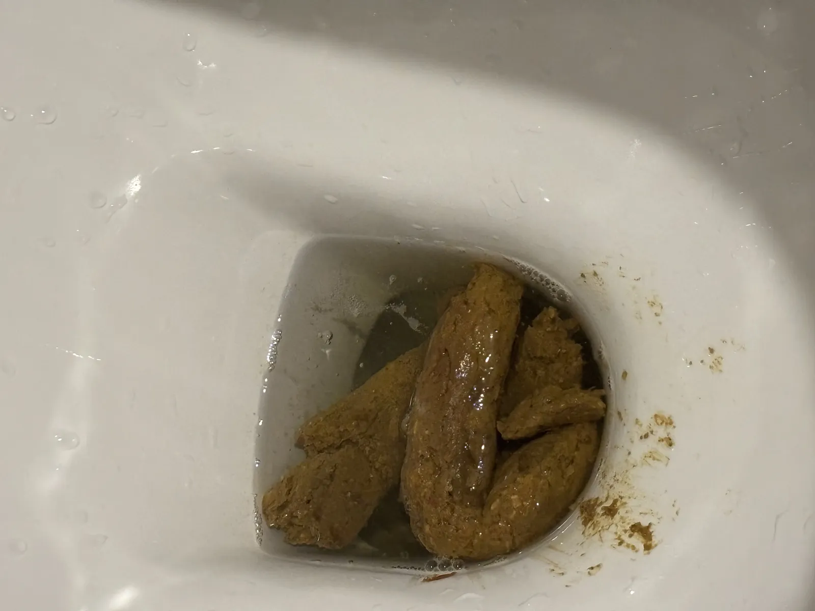 A late night wonder