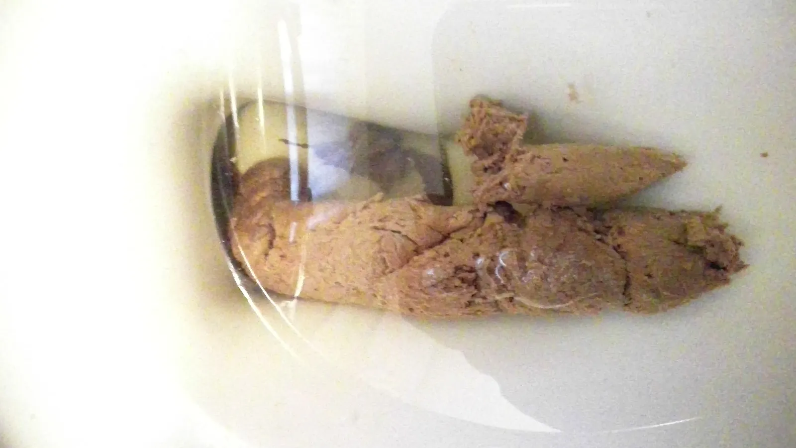 L.