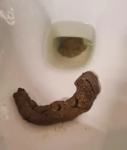 Firm morning turd