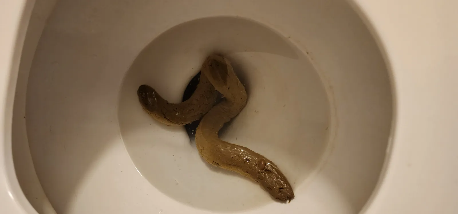 Cursive poop