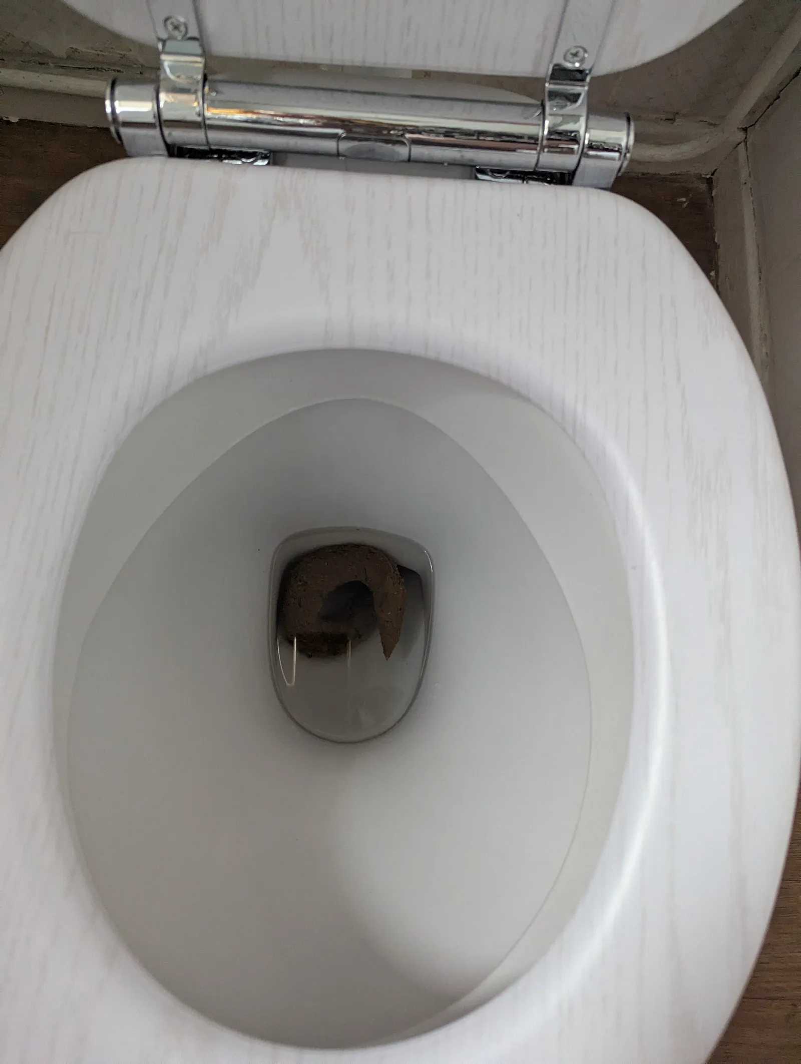 Long poop