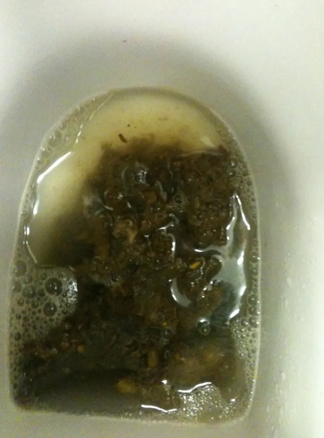 Sloppy gelloppy poo!