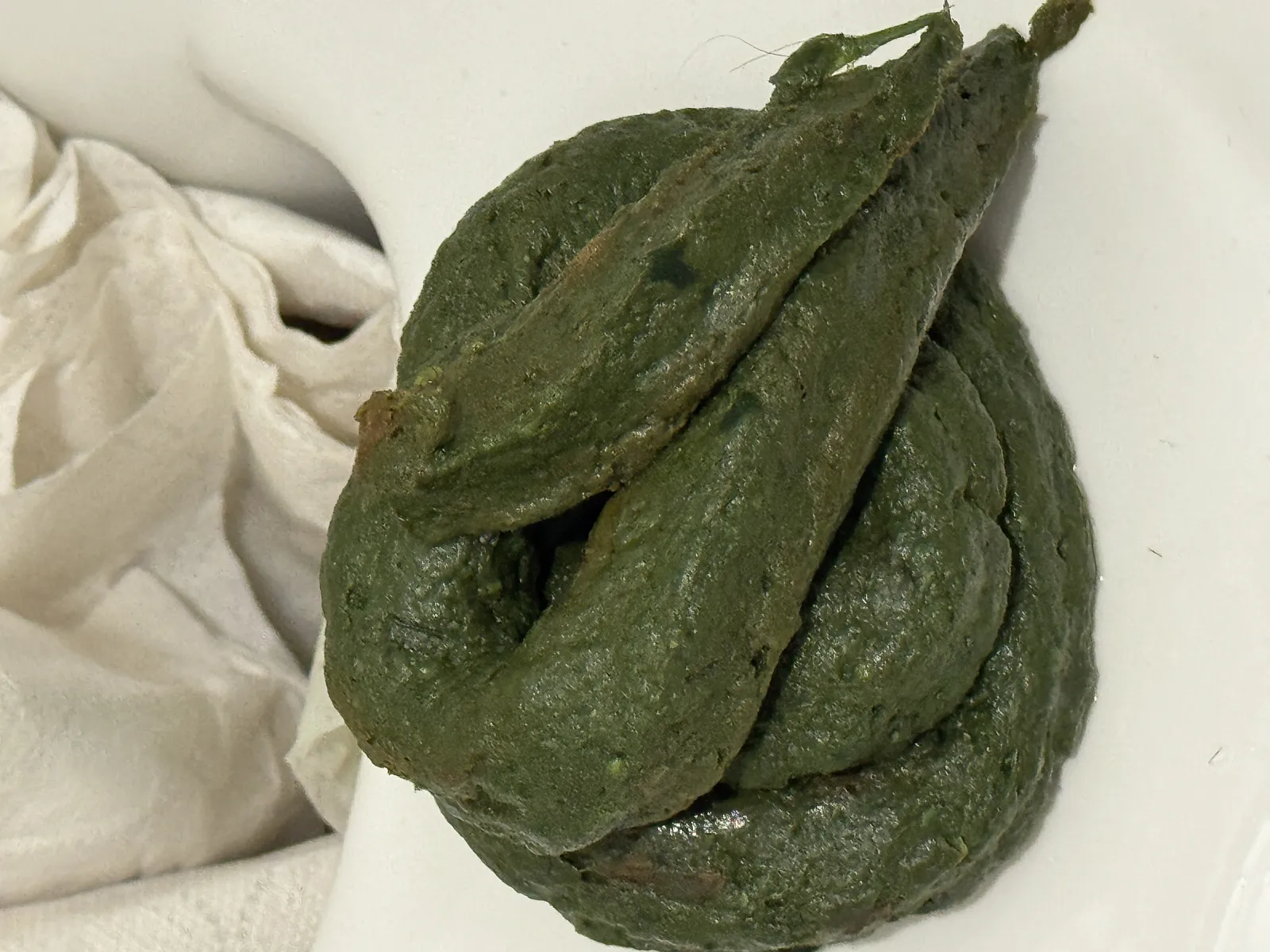 Green Poop