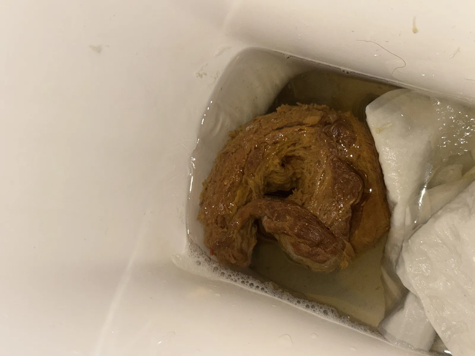 Fiberous Poop