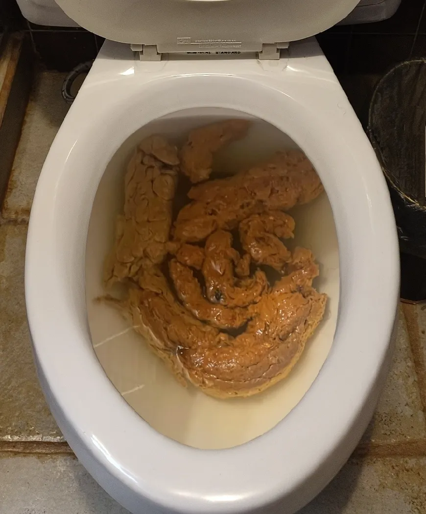 My girlfriend once again forgot to flush the toilet.