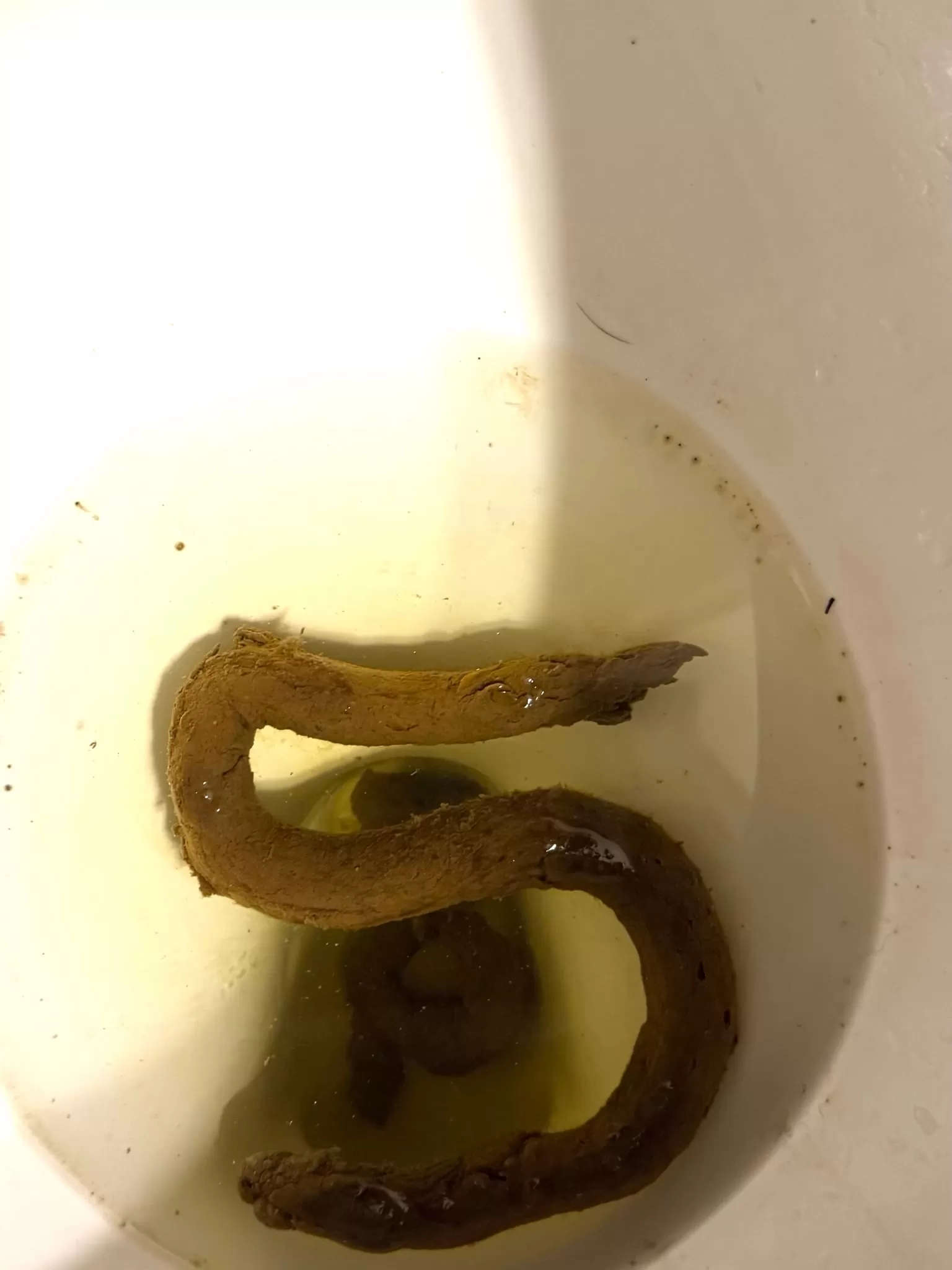 a true solid 5