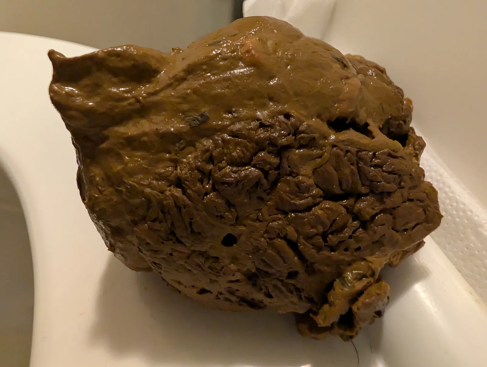 Nut-shaped poop