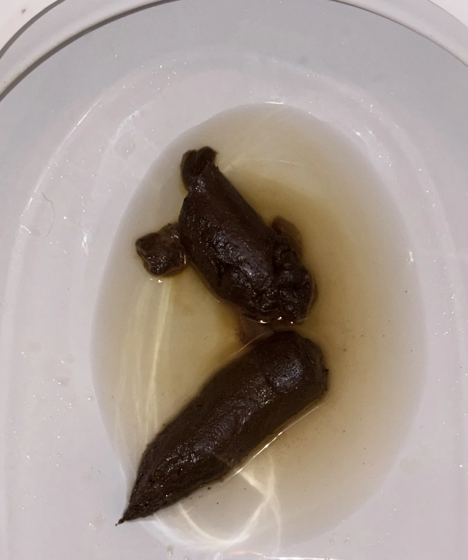 Morning poo