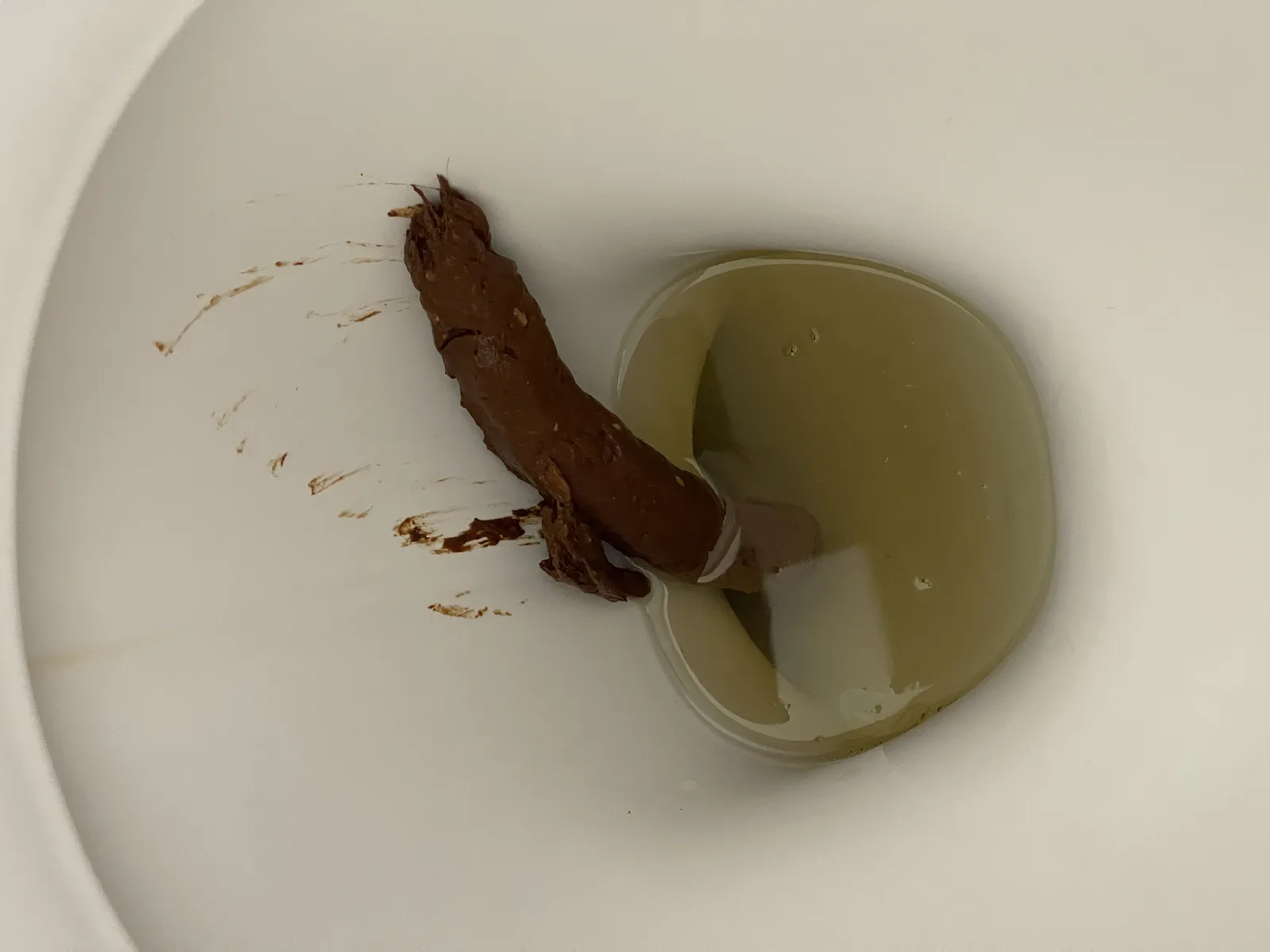 Over a foot this was, I was surprised