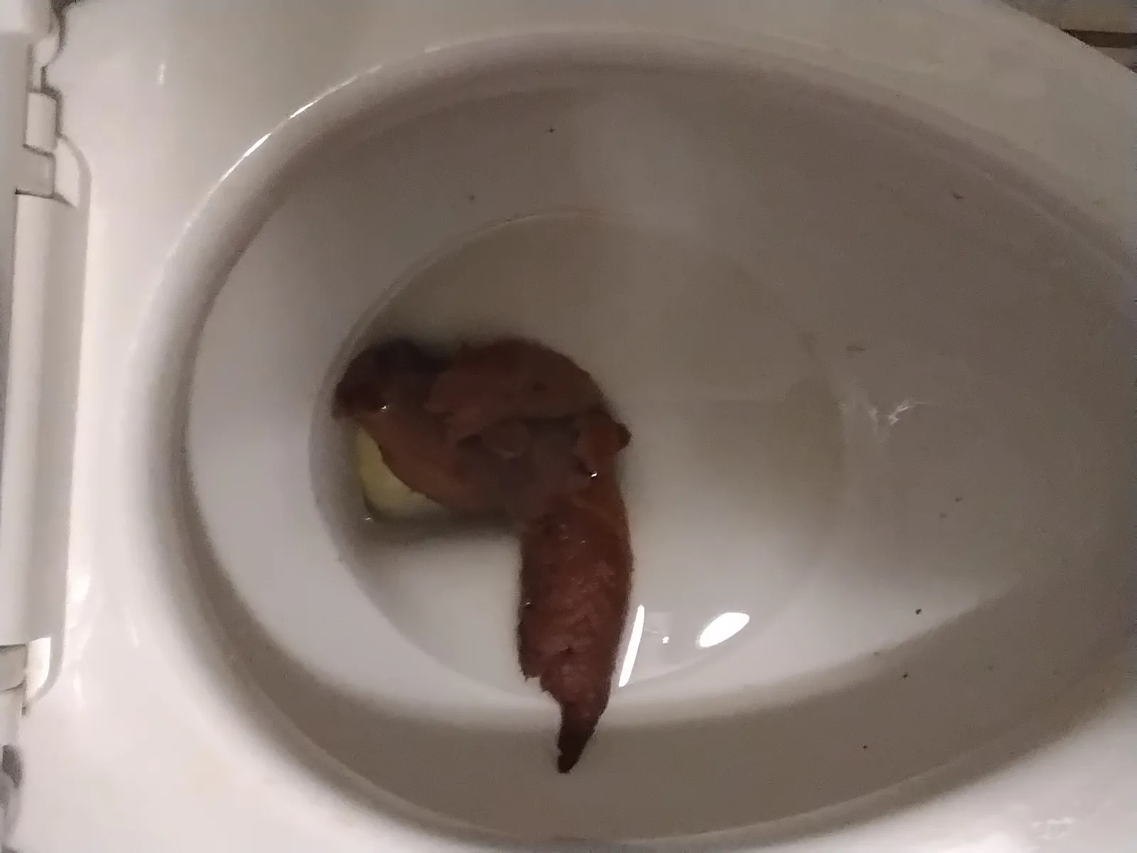 Pointing poop