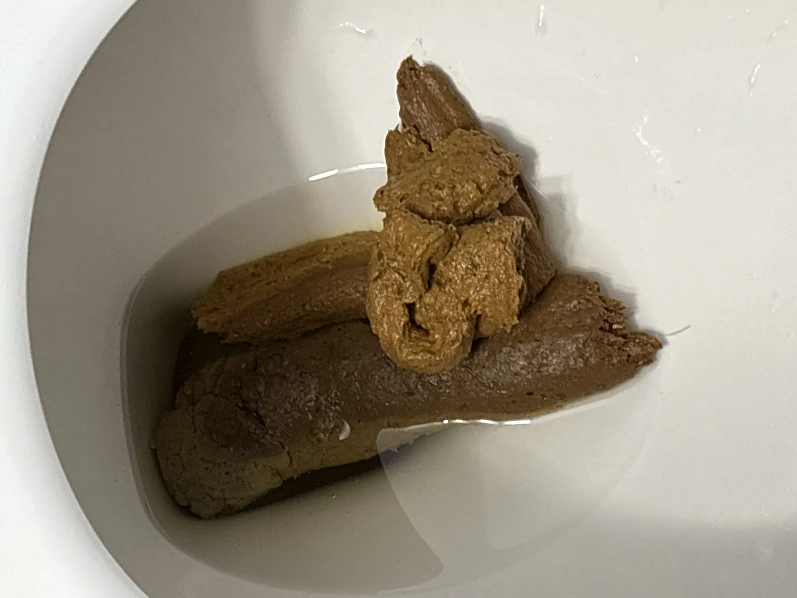 At work poop