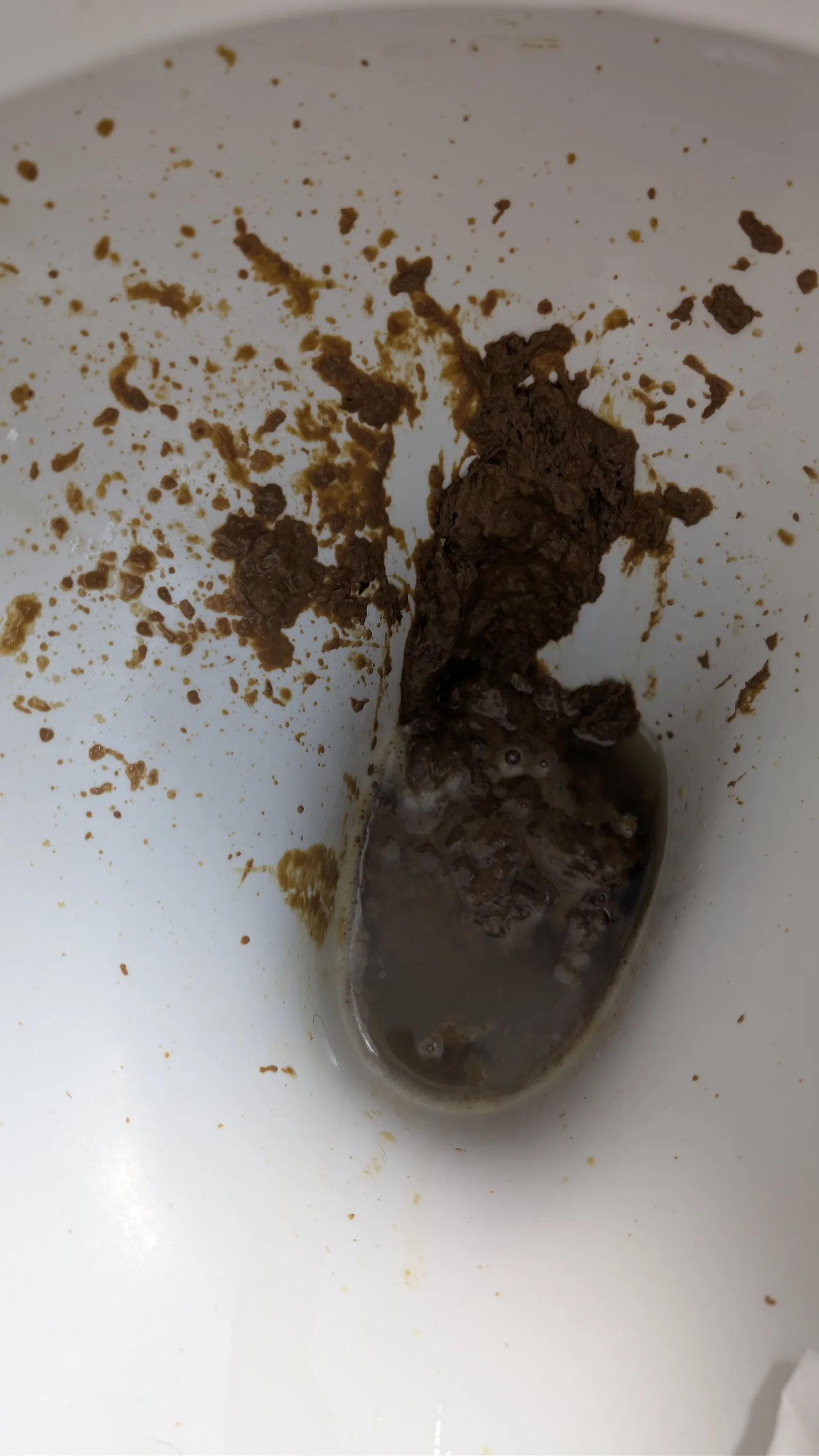 Midday Bowel Movement