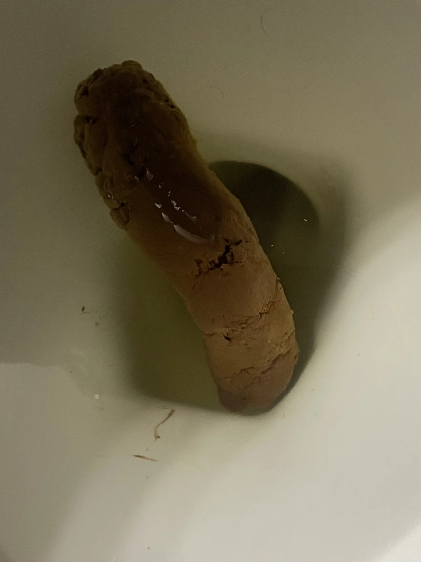 Morning shit