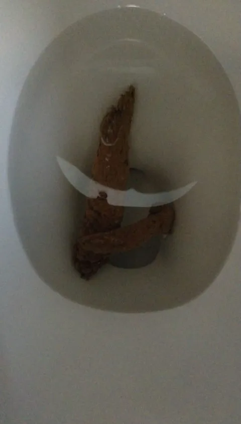Sunday Log
