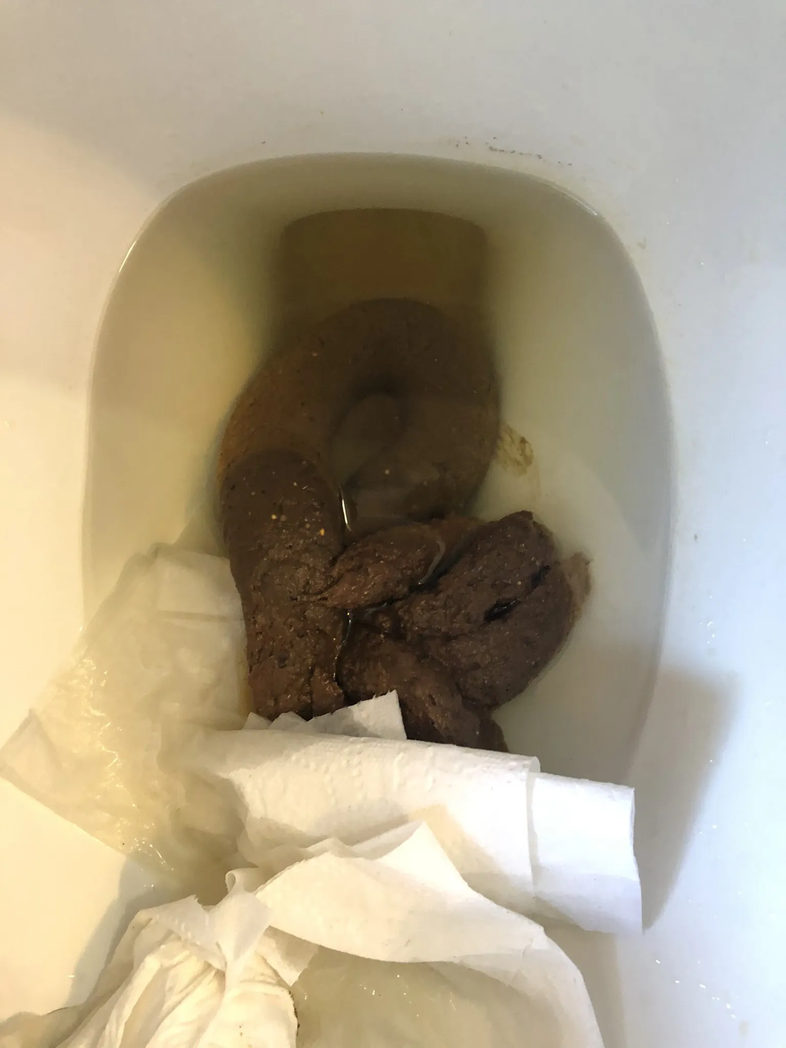 Girlfriends Big Shit