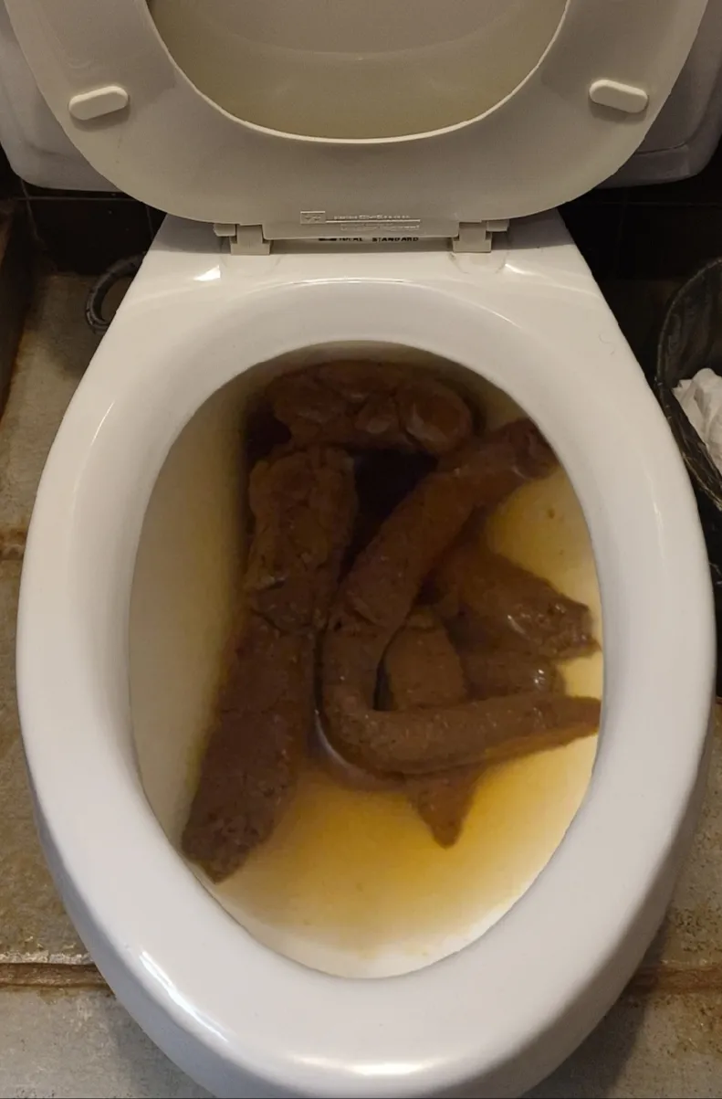 I'll ask my girlfriend what "IC" means or what she meant by the poop she made today.