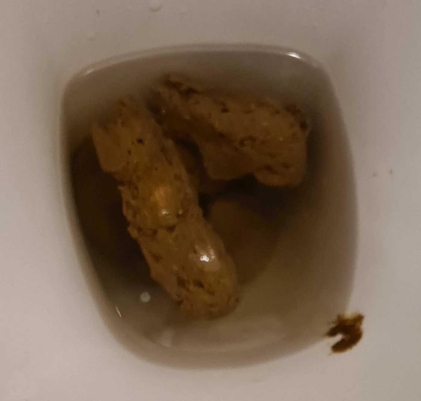 Nice afternoon dump