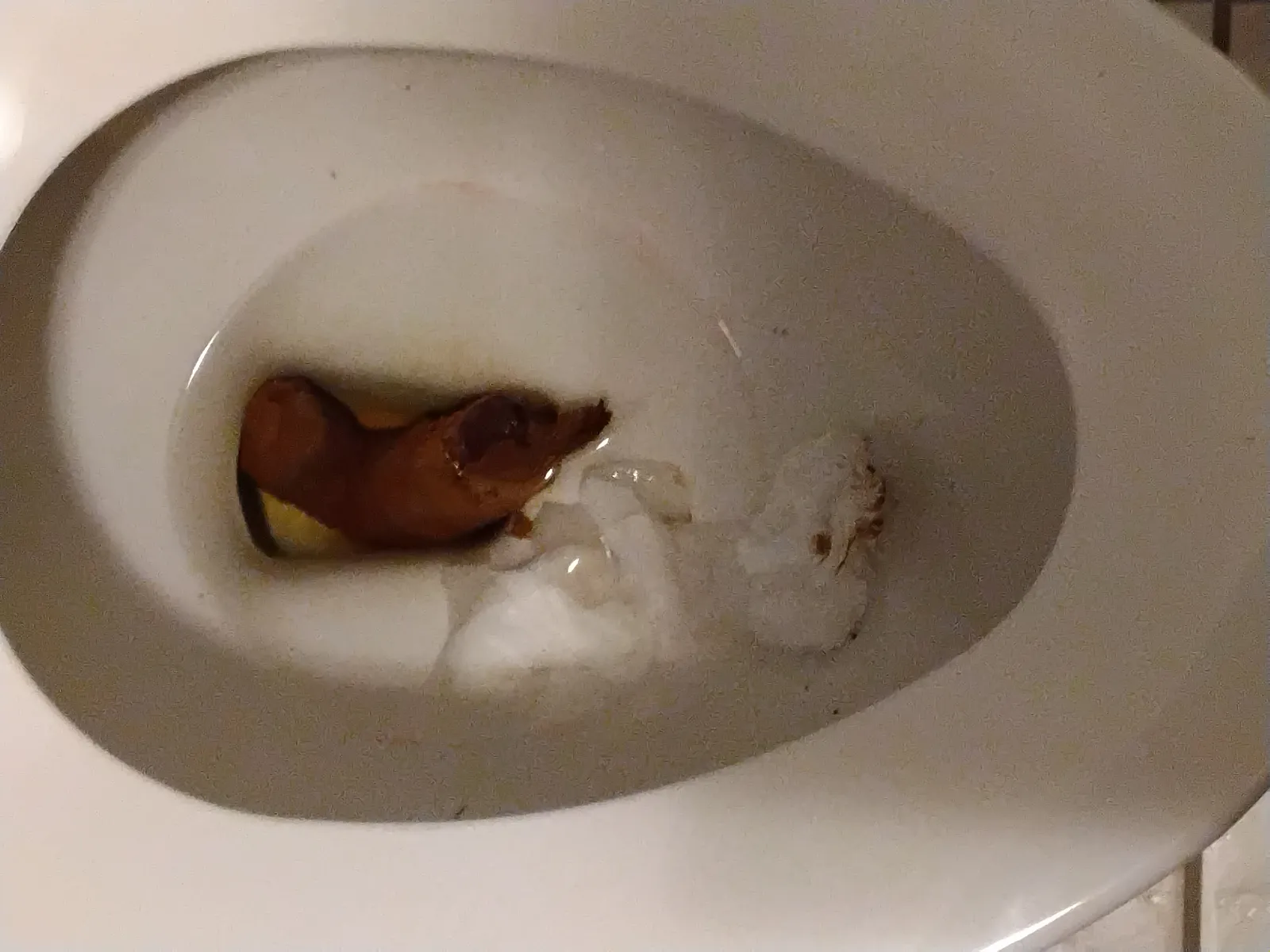 U shape poo