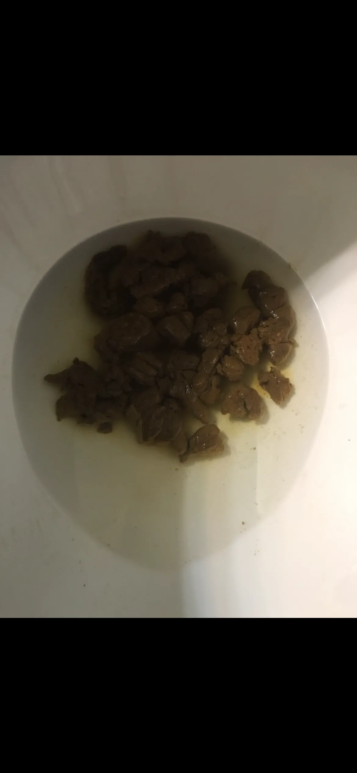 I had a great experience