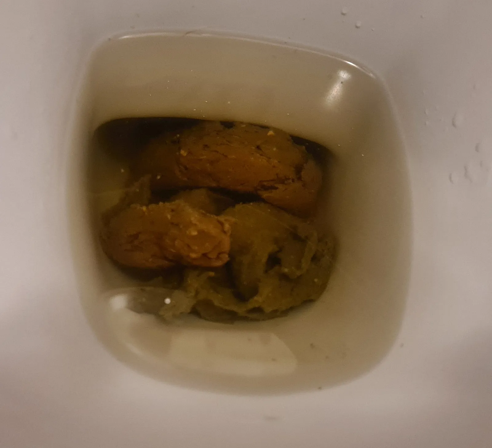 Firm and solid morning dump