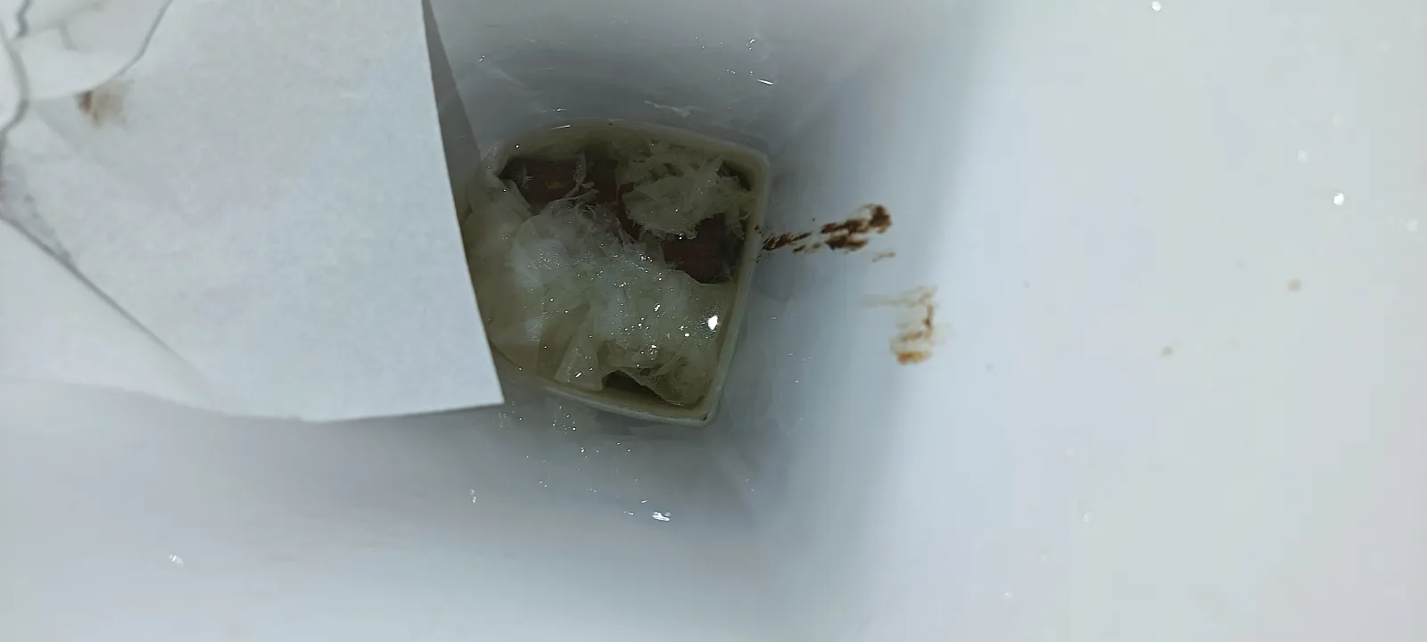 This toilette paper