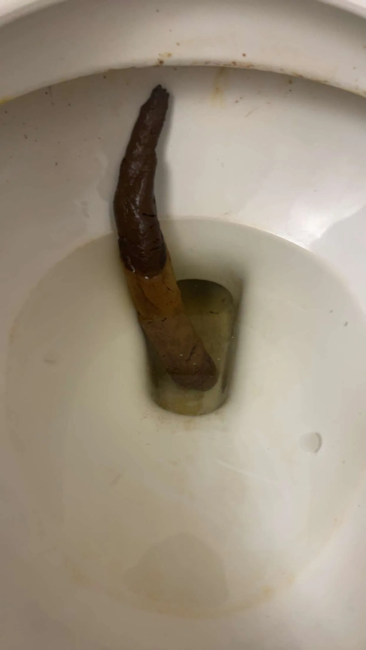 Slithery snake