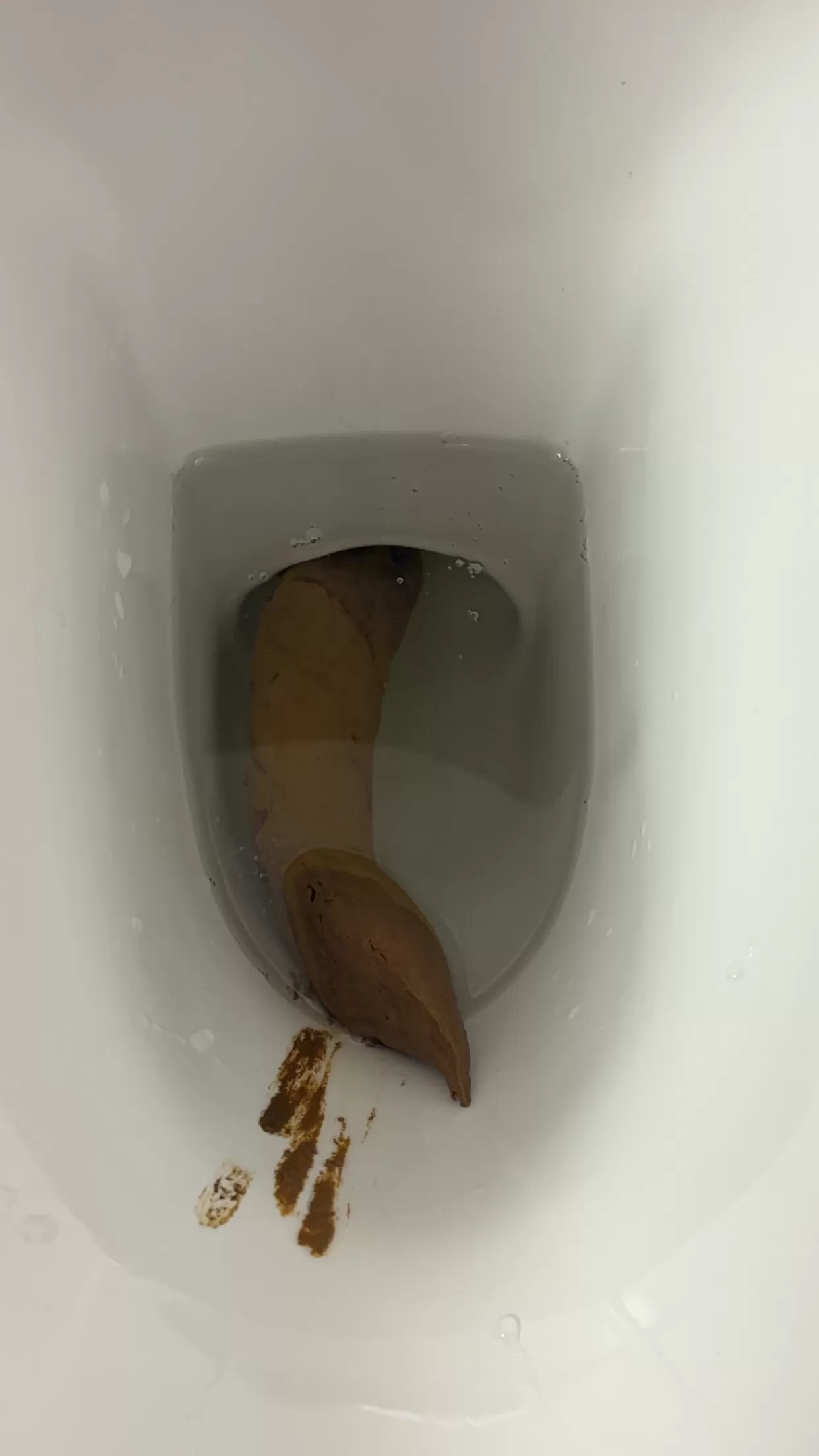 Girthy poop