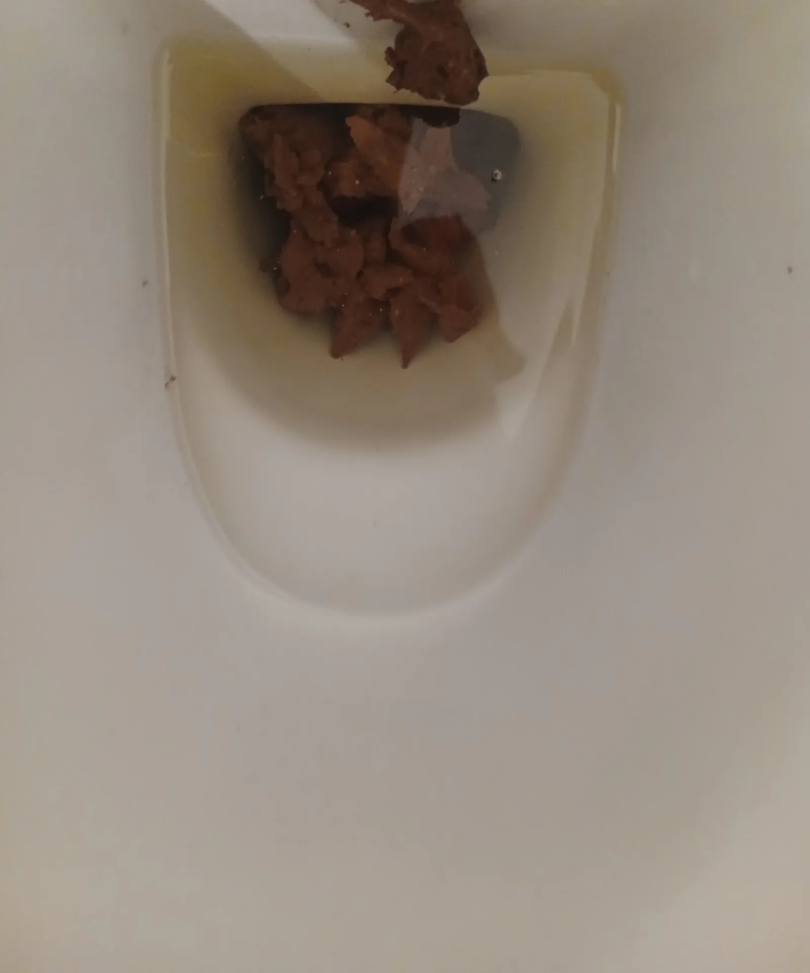Poo