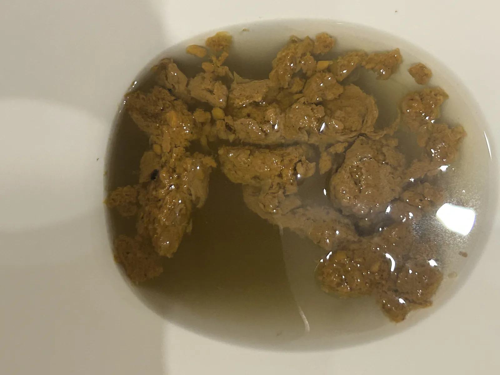 Burger poop