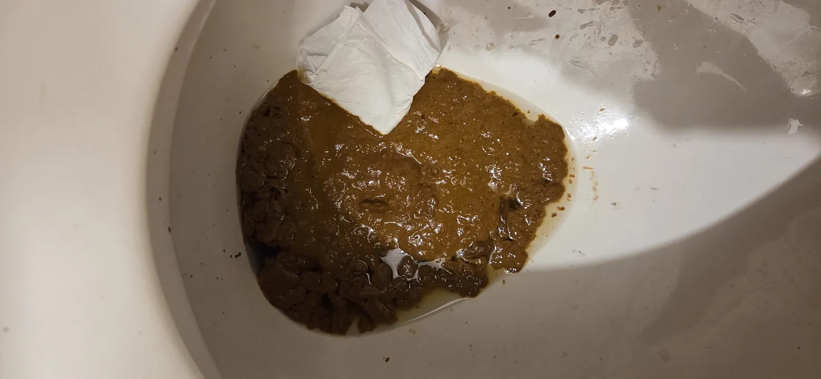 Mud pattie