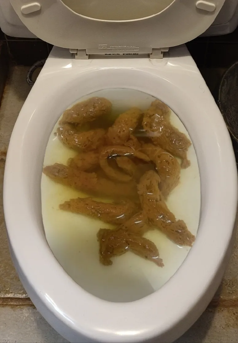 My girlfriend left me a surprise in the bathroom.