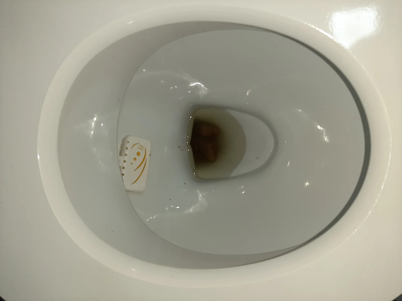 Shit