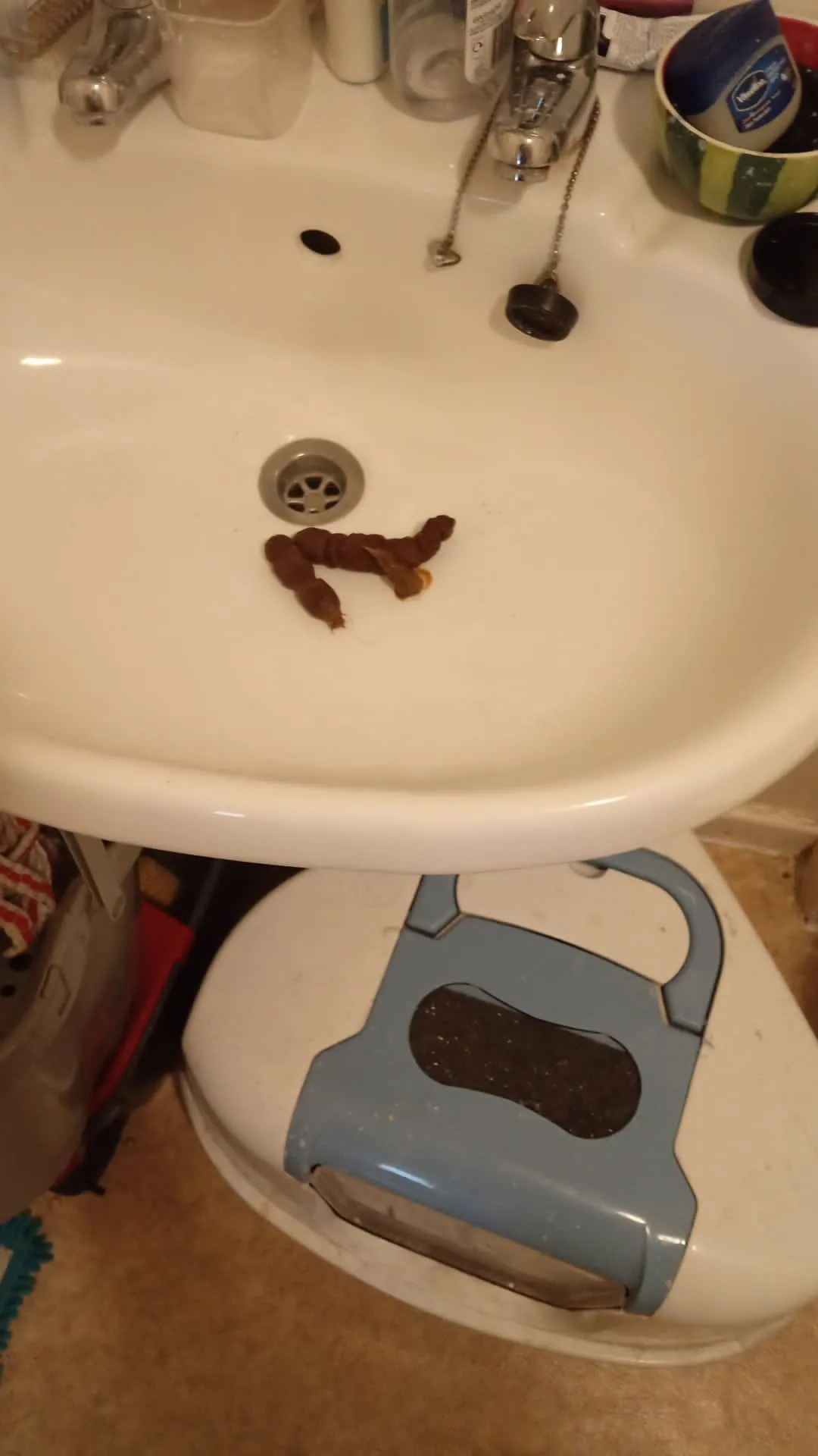 No space in toilet