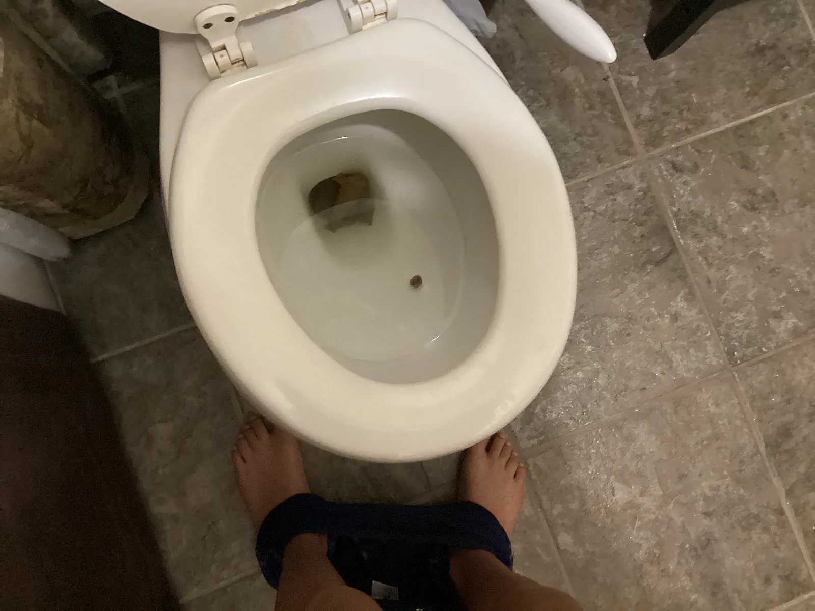 Morning smelly dump