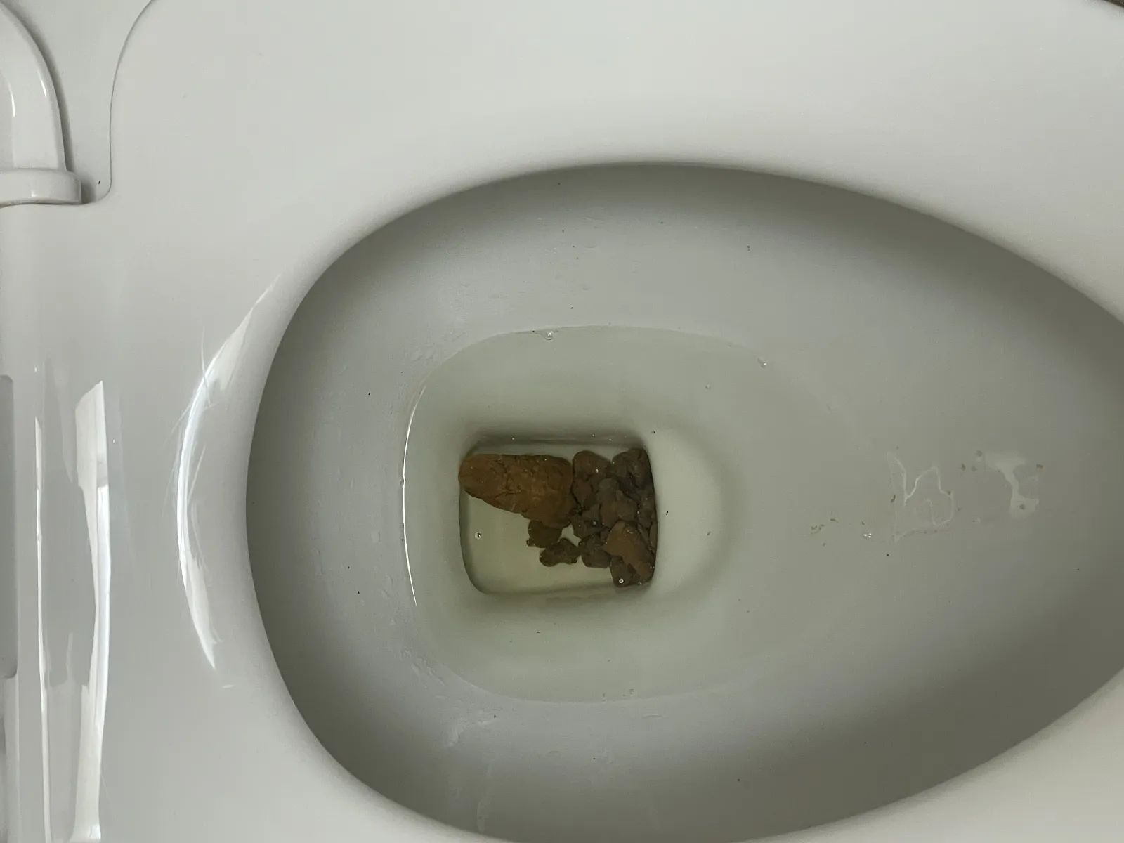 poop nuggets