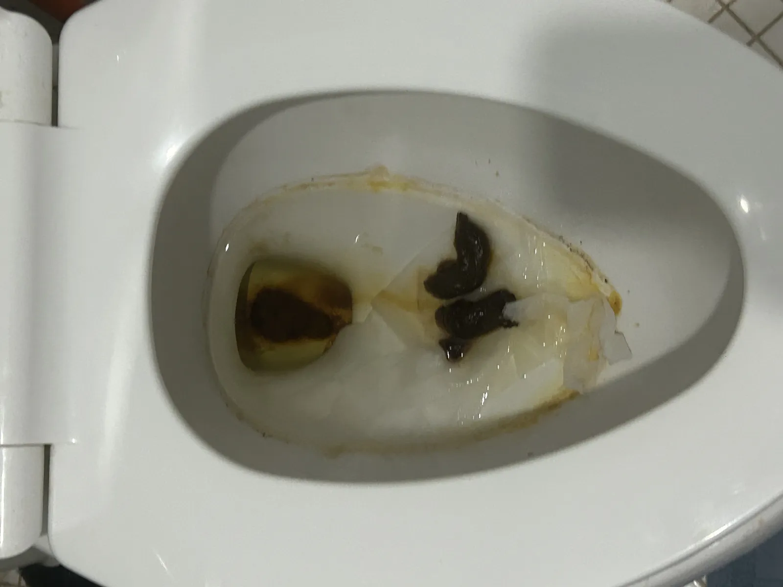Constipation shit ?? — Poop Photo from Waco, United States of America ...