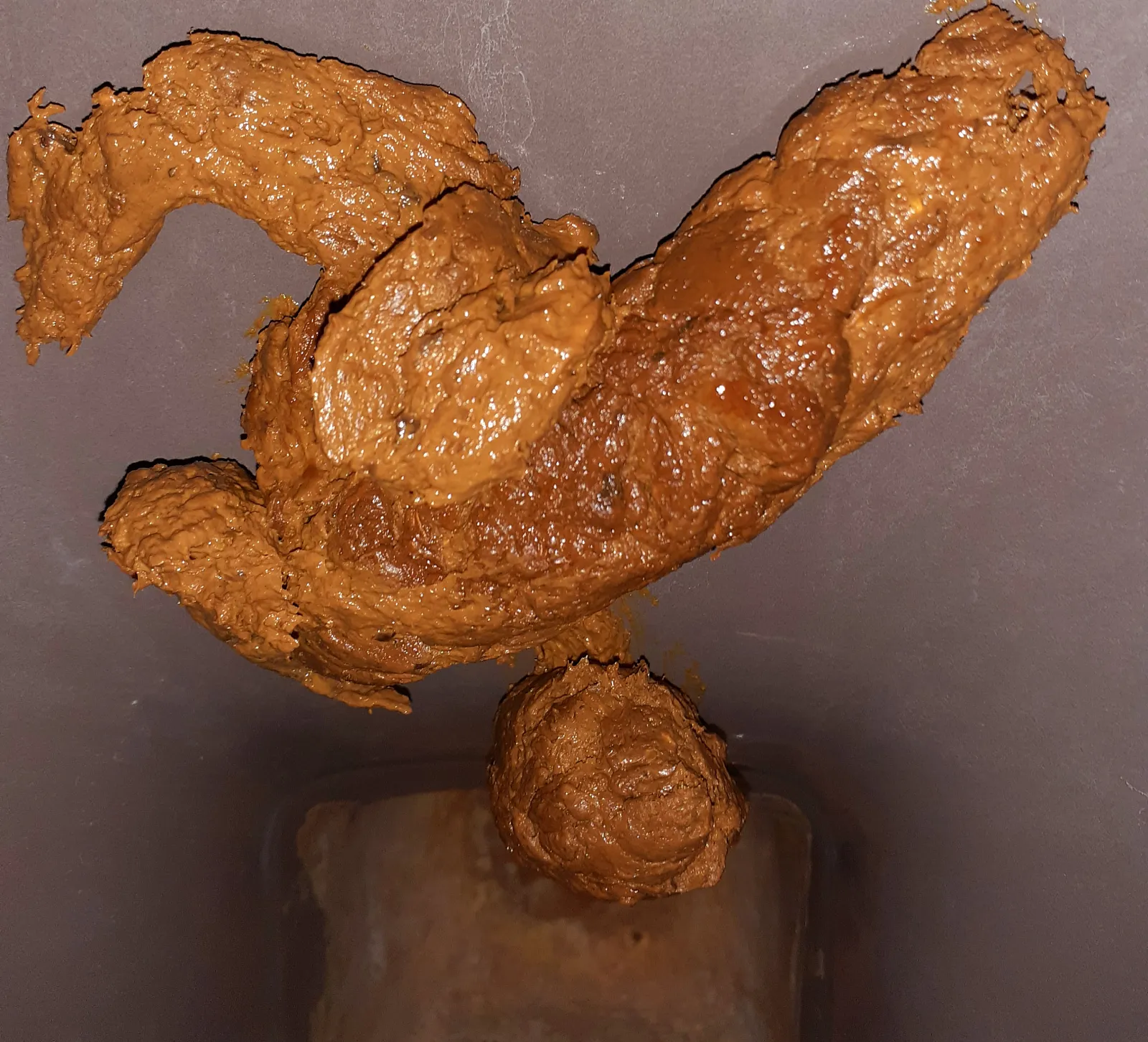 my turdildo