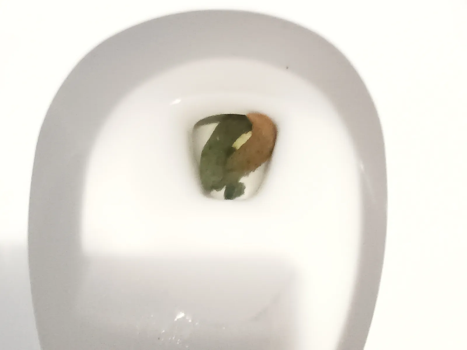 Taking poo