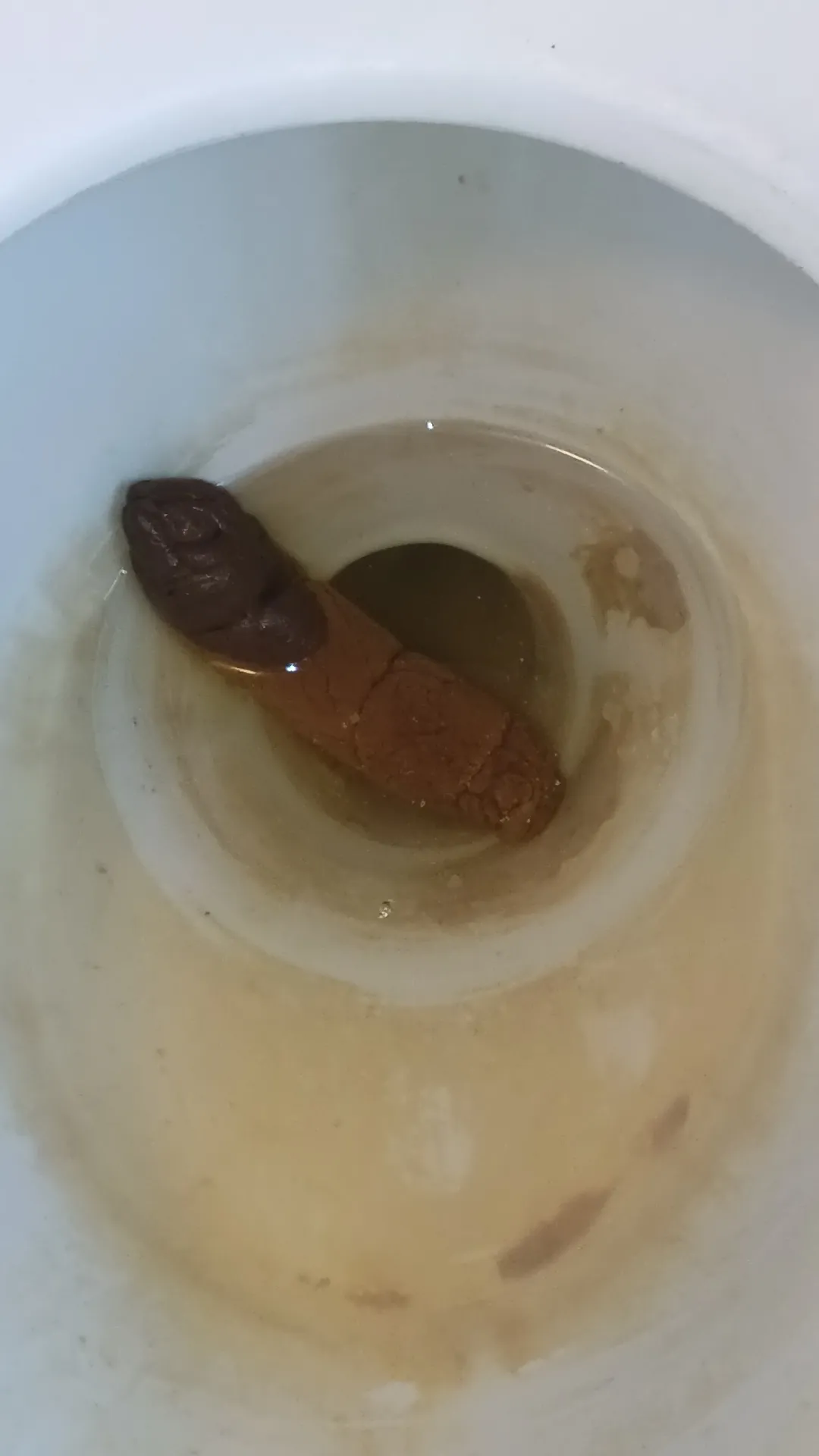 "poop"