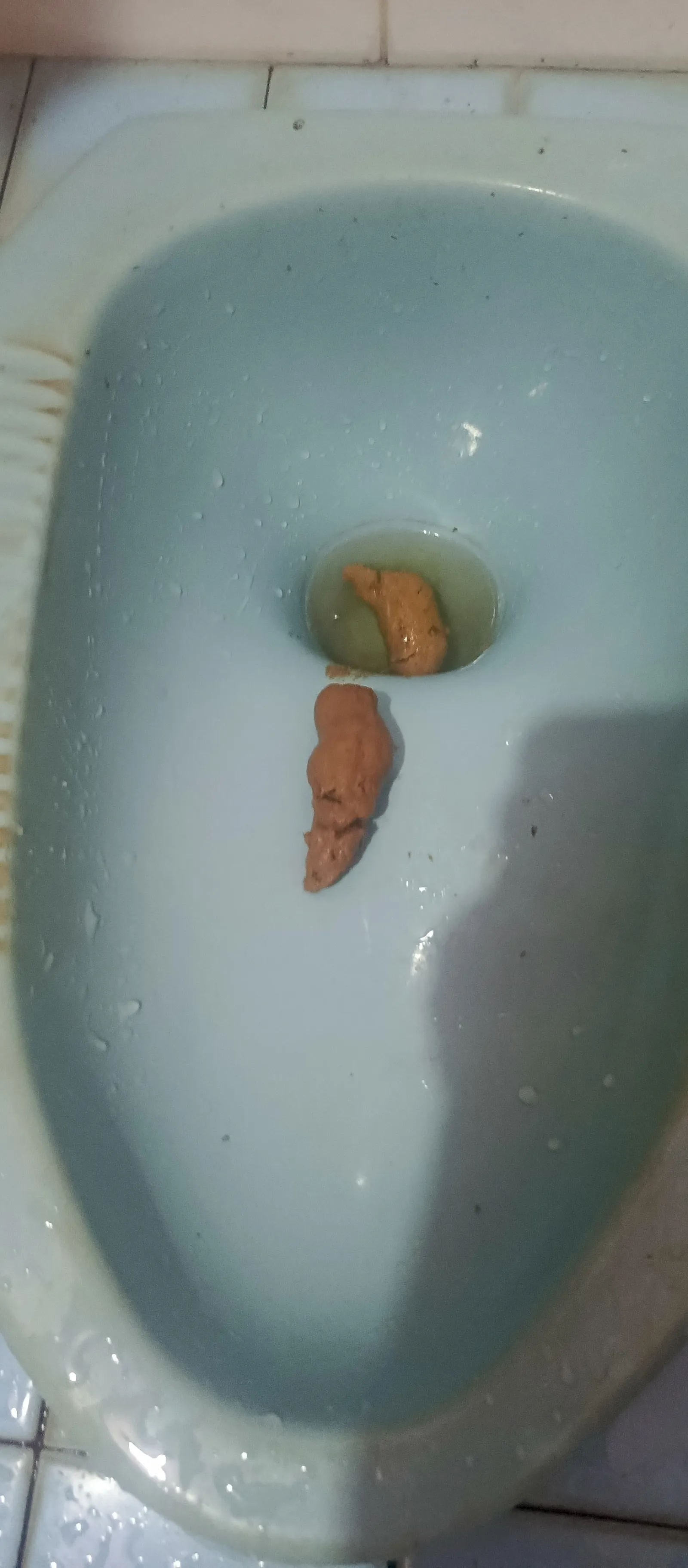 The normal poop (i think)