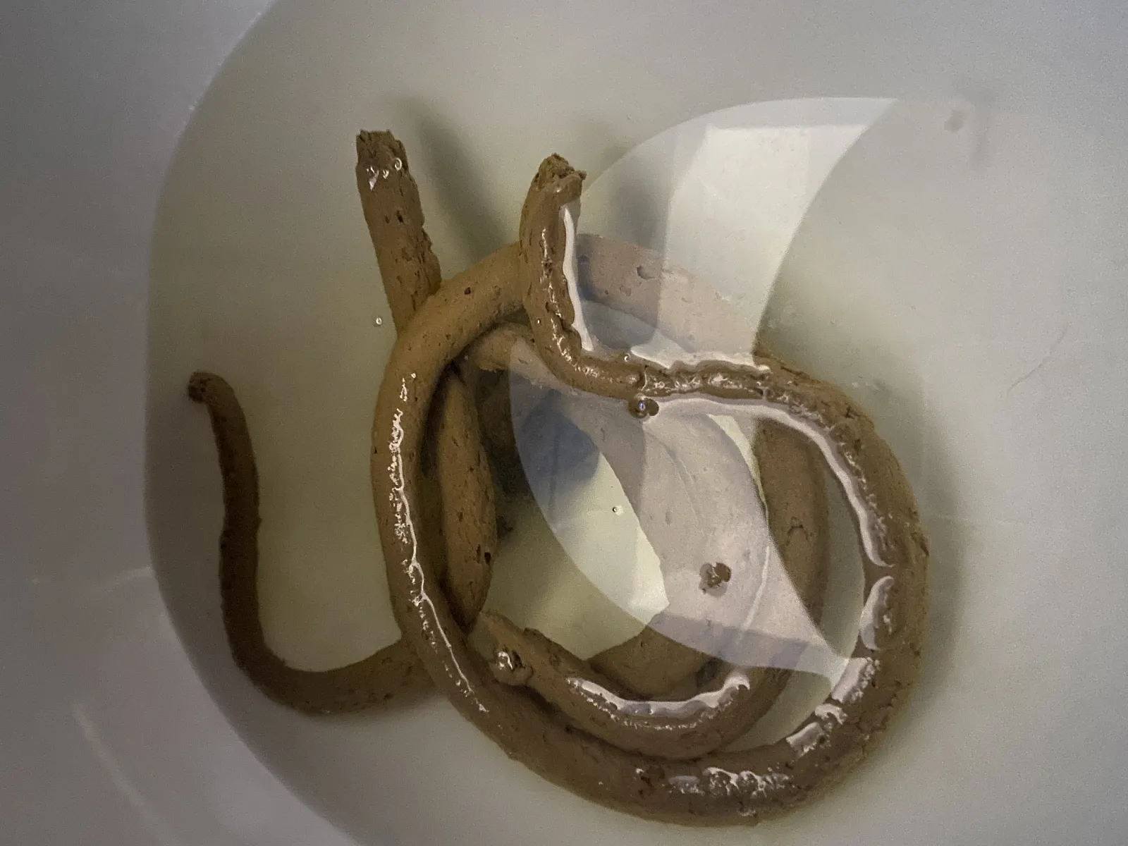 Snakes