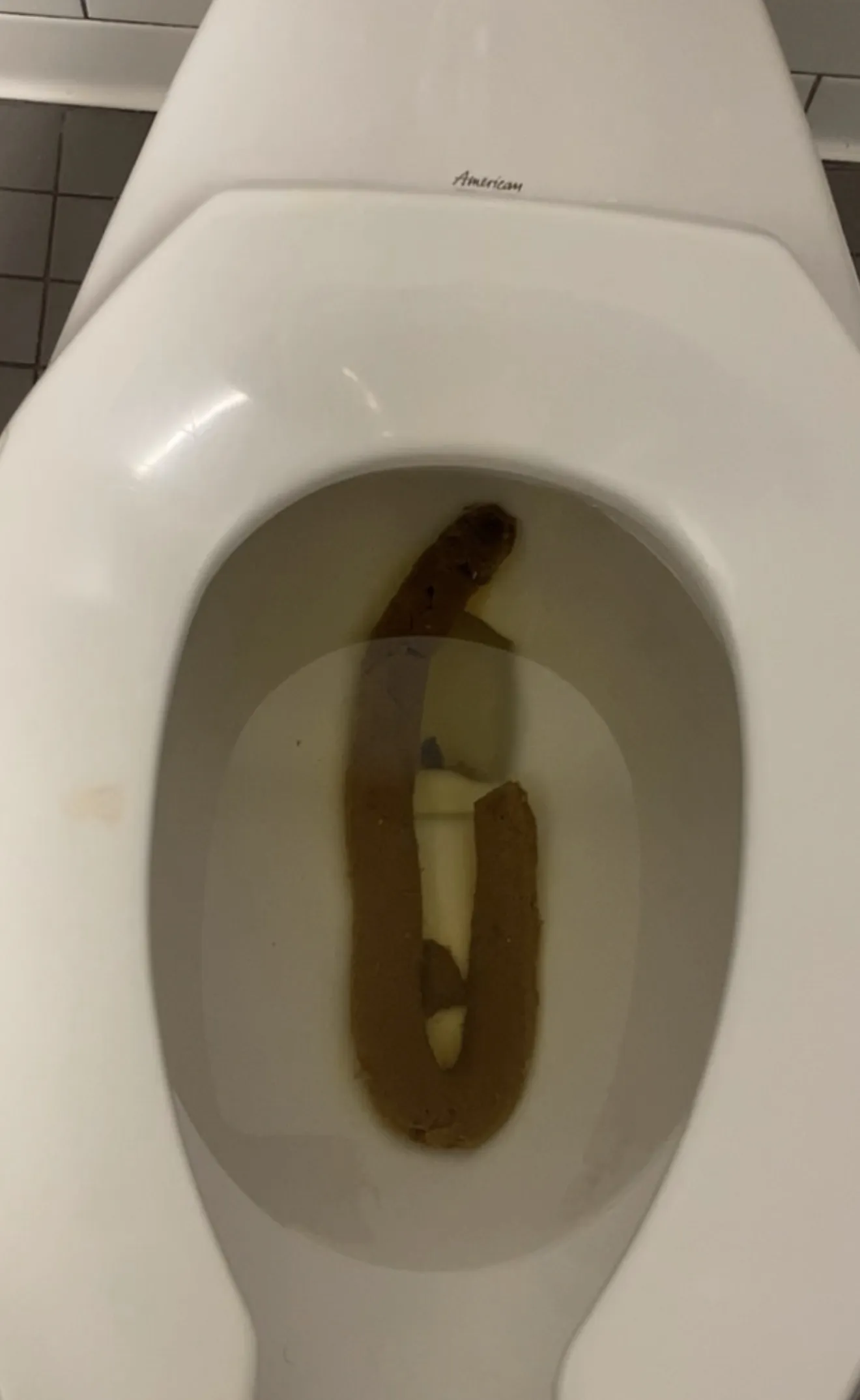 Anaconda