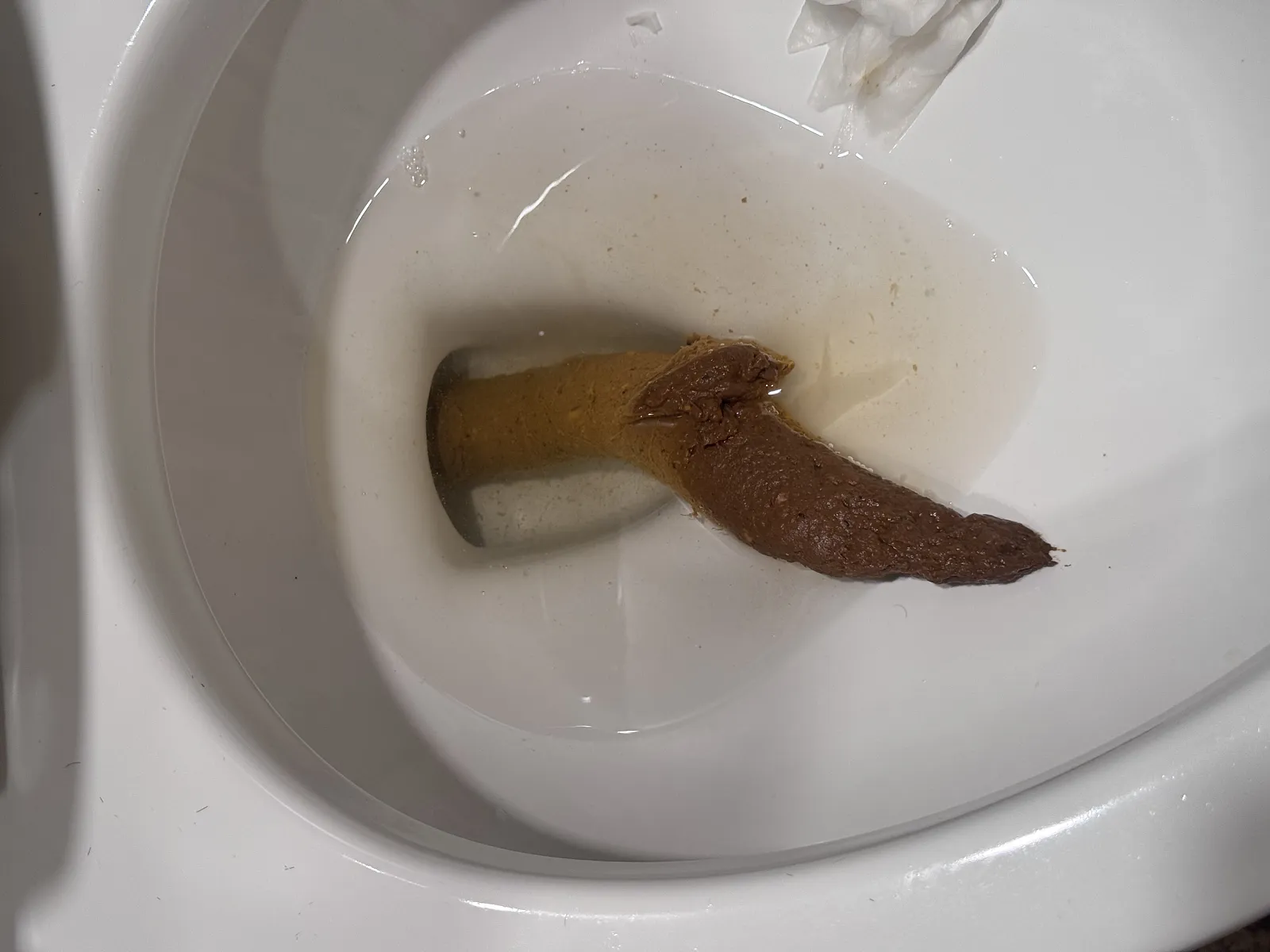 Post Chipotle shit