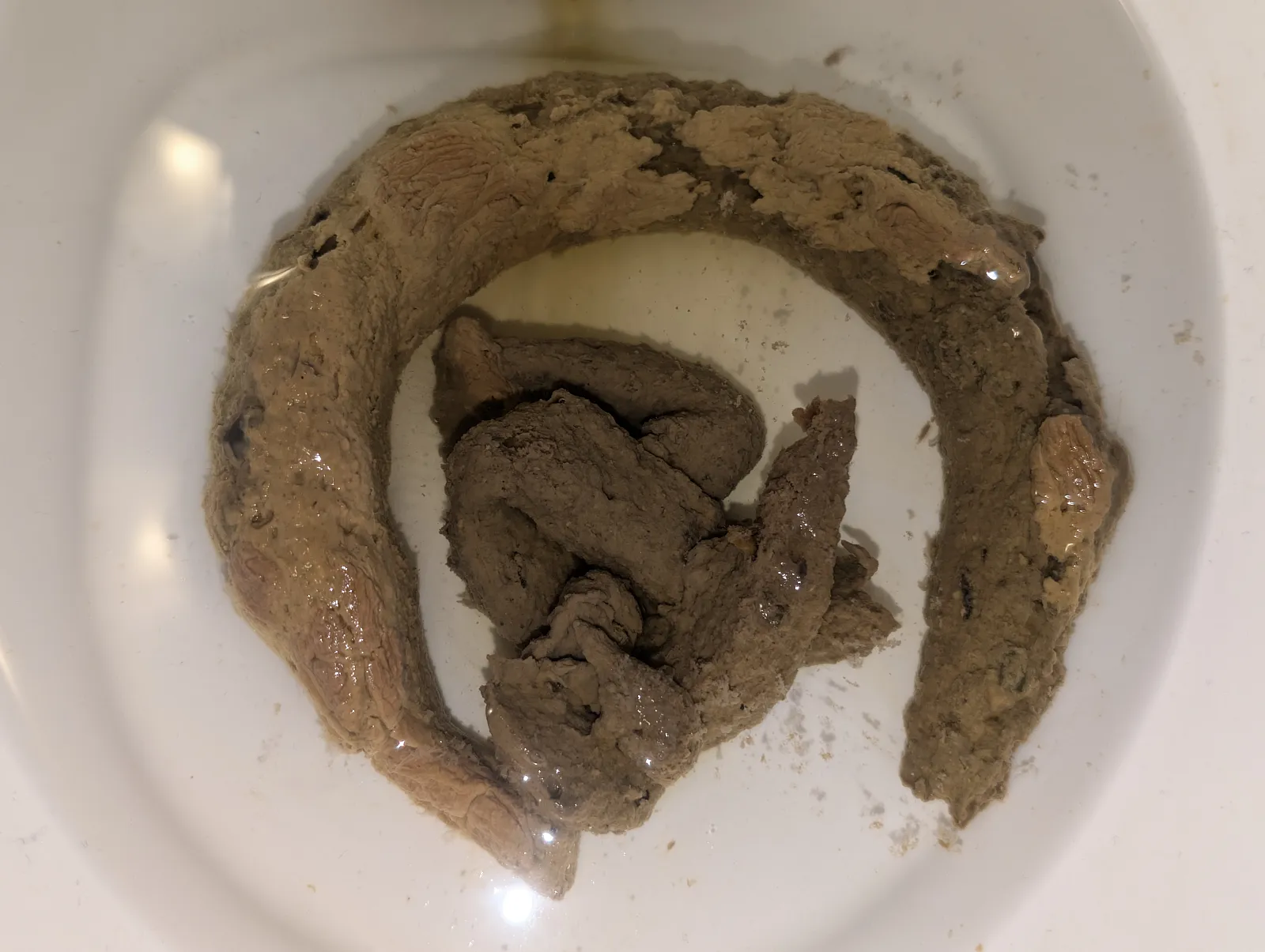 Different color poops