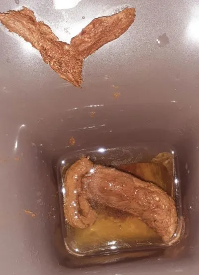 my morning turds