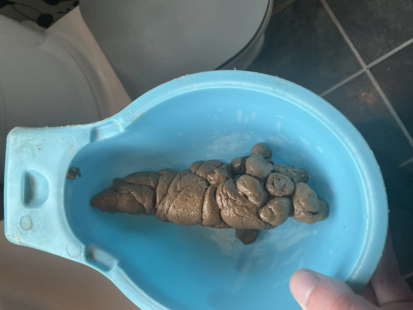 Poop poop